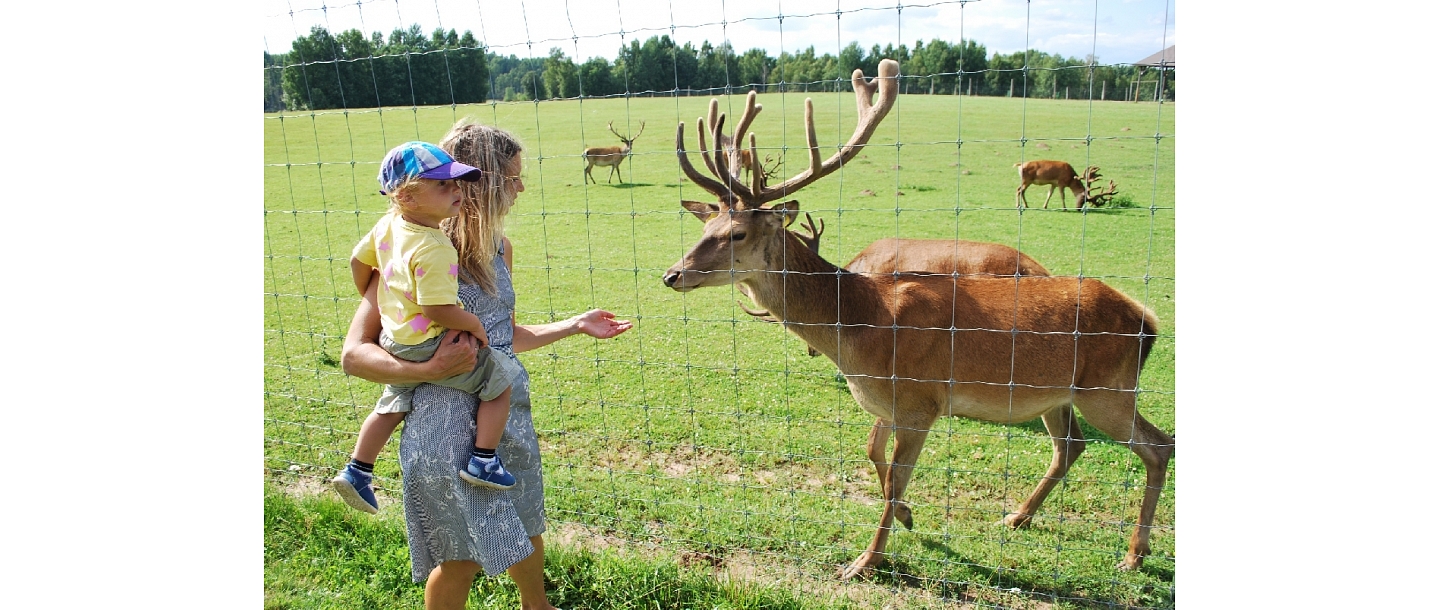 safari parks